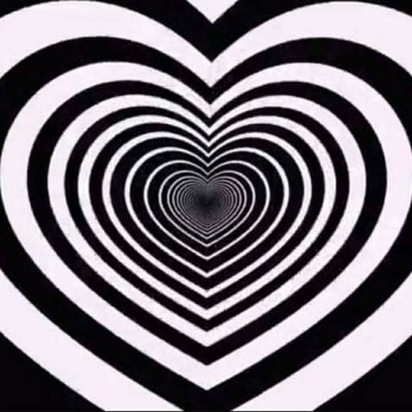 Meet your Posher, Chloe - Picture 1 of 1